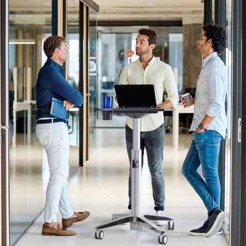 LEARNFIT ADJUSTABLE STANDING D