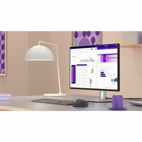 24 MONITOR - P2425H