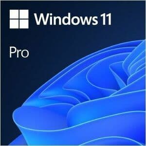 WIN PRO FPP 11 USB FLASH DRIVE