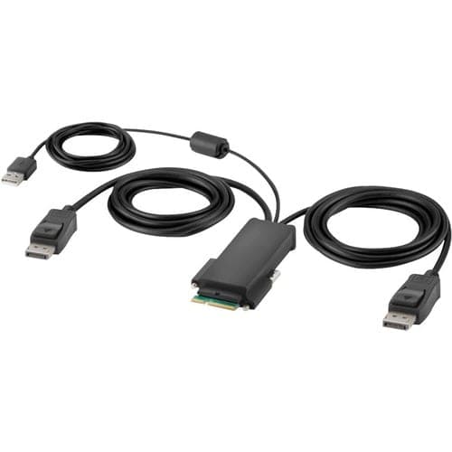 6FT MODULAR DP DUAL HEAD HOST CABLE