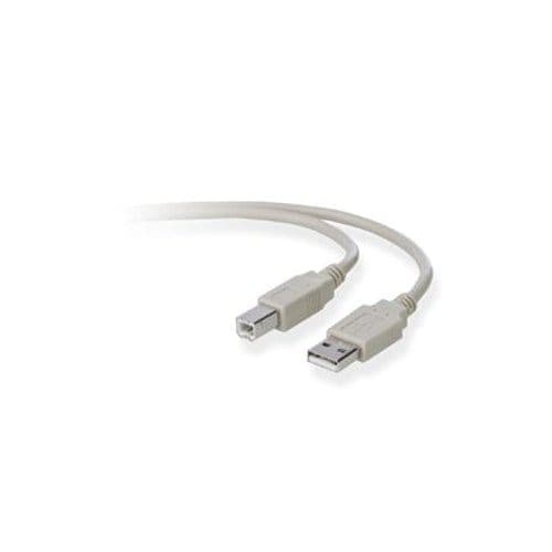 10FT USB A/B DEVICE CABLE A/B DSTP