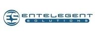 Logo for EnTelegent Solutions