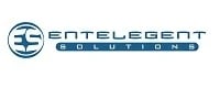Logo for EnTelegent Solutions