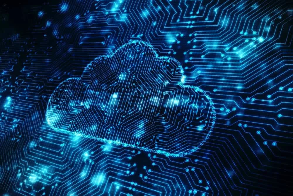 What Savvy Leaders Know About the Potential of Big Data