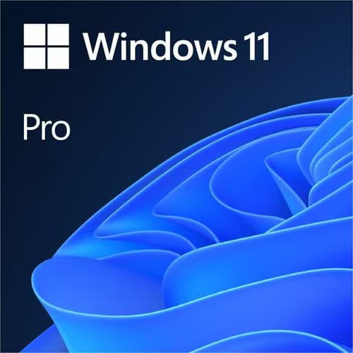 WP11 64BIT ALL LNG PK LIC ONLINE DWNLD NR
